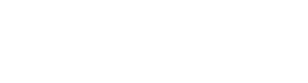 Bersa