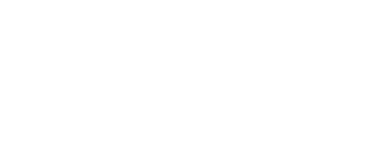 CCI Ammunition