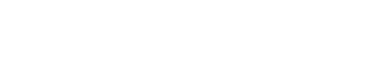 Lancer Systems