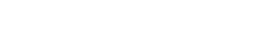 Lapua