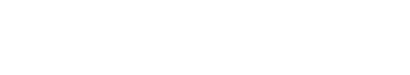 Primary Arms