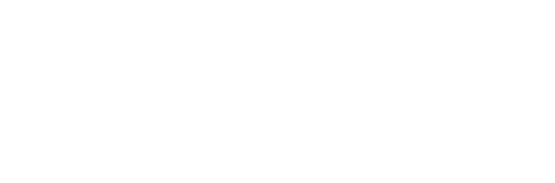 Primary Weapons Systems