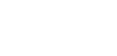 Remington Arms