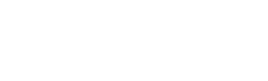 Stag Arms