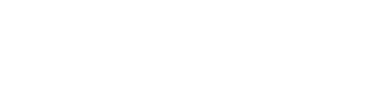 Walther Arms
