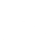 LWRC International