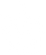 Mauser