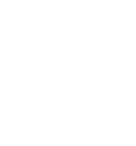 Savage Arms