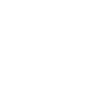 Sturm Ruger